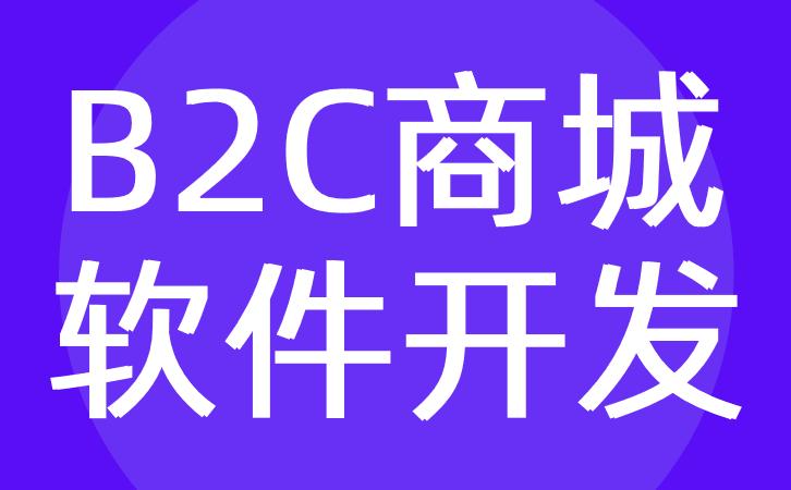 b2c商城软件开发b2c购物电商软件定制公司红匣子科技